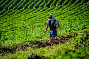 BIB: 
                            <button type="button" onclick="openModal(19160537)" class="btn btn-primary btn-sm float-right btn-popup" data-toggle="modal" data-target=".modal-high-quality">
                        <i class="fas fa-shopping-cart"></i> Add to Cart
                    </button>
                                            <button type="button" onclick="isThisMe(19160537, true)" class="btn btn-success btn-sm float-right btn-popup btn-isme hidden" data-toggle="tooltip" data-placement="bottom" title="นี่คือรูปของคุณใช่ไหม คลิกที่นี่เพื่อเอาเข้าอัลบั้ม">
                        <i class="fas fa-plus"></i> Add to album
                    </button>
                    <button type="button" onclick="isThisMe(19160537, false)" class="btn btn-warning btn-sm float-right btn-popup btn-isnotme hidden">
                        <i class="fas fa-ban"></i> Remove from album
                    </button>